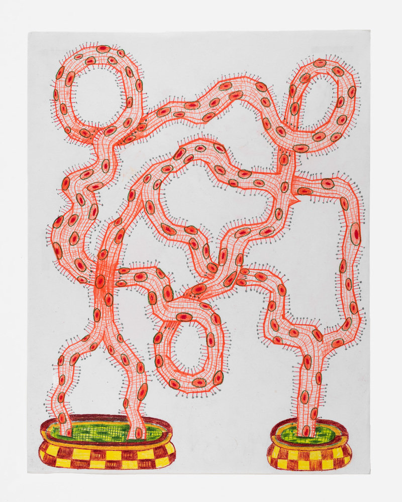 Isaac tin wei lin 0672 800 xxx q85