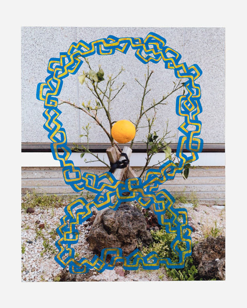 Isaac tin wei lin 0678 800 xxx q85