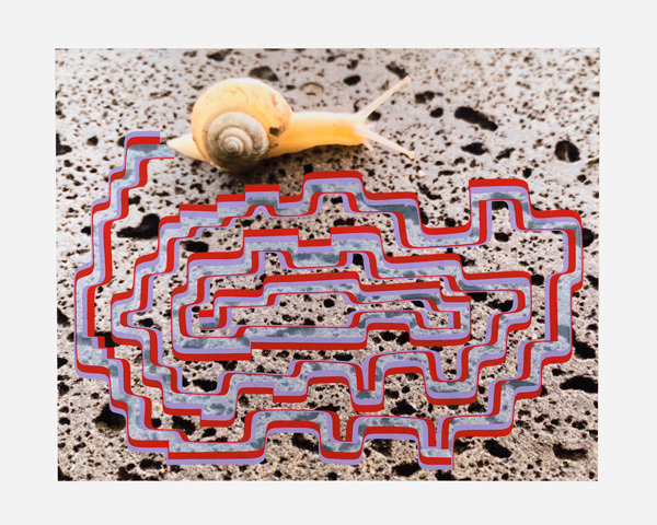 Isaac tin wei lin 0677 800 xxx q85