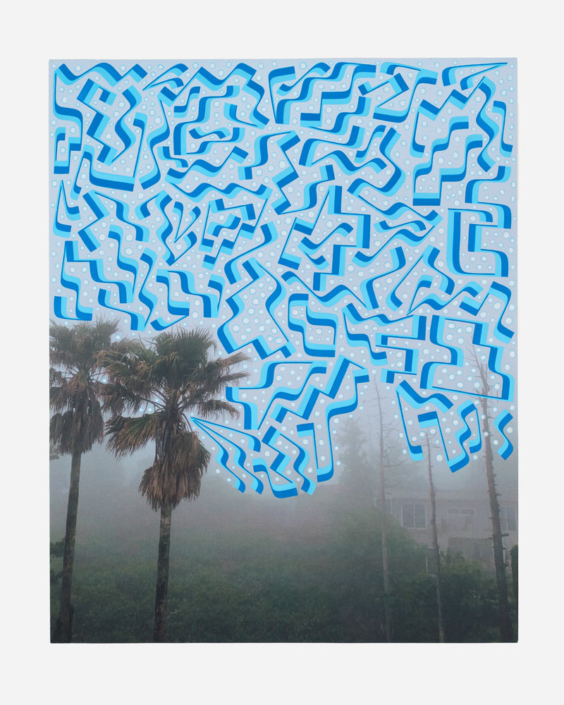 Isaac tin wei lin 0683 800 xxx q85