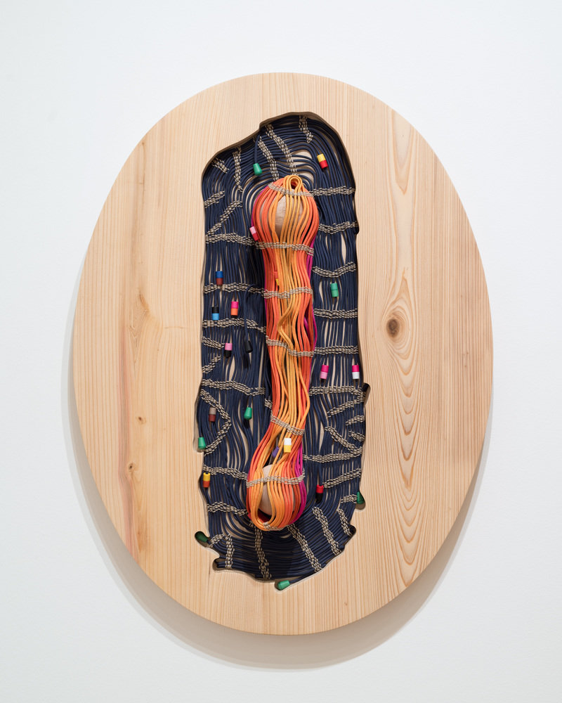 Jesse harrod 0119 800 xxx q85