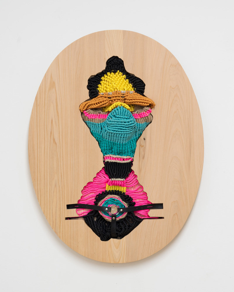 Jesse harrod 0123 800 xxx q85