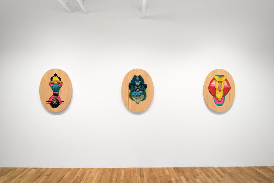 2026 02 03 jesse harrod 06 900 xxx q85