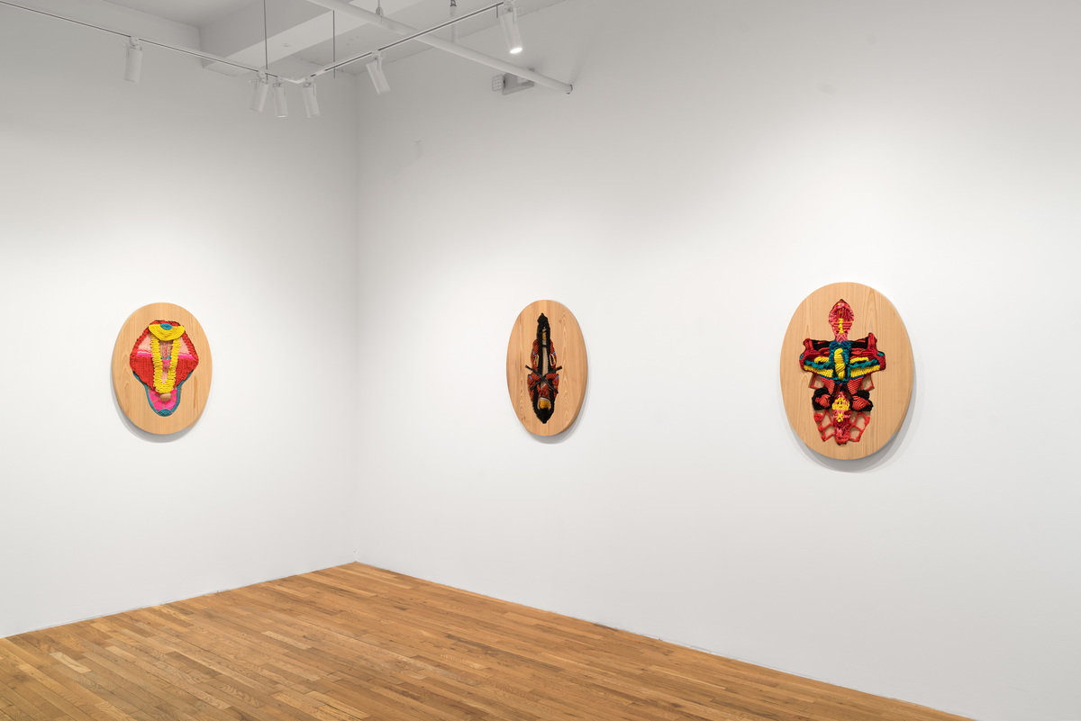 2026 02 03 jesse harrod 07 1200 xxx q85